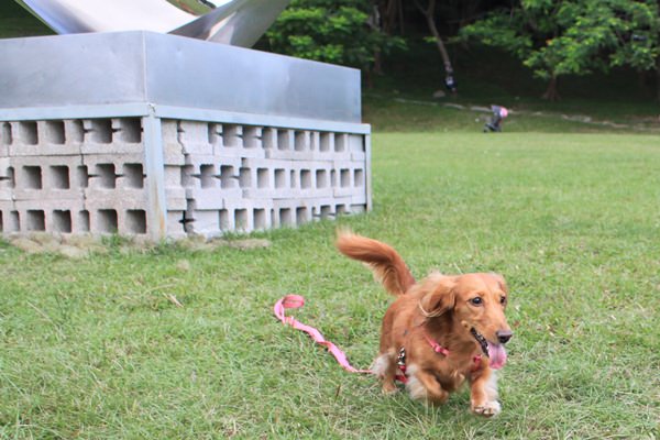 20251024-18gke 20251024-18gke