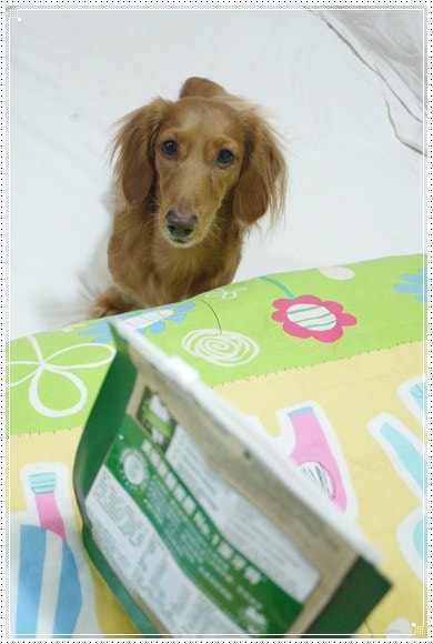 20251024-6cmho 20251024-6cmho