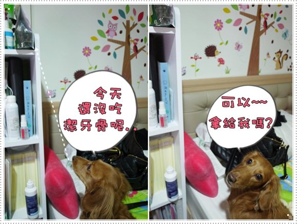 20251024-73hkp 20251024-73hkp