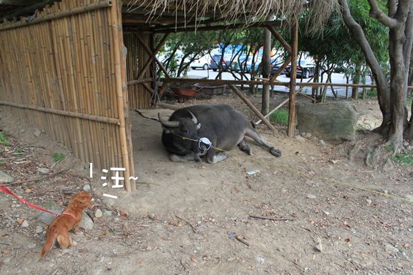 20251024-7vmcq 20251024-7vmcq