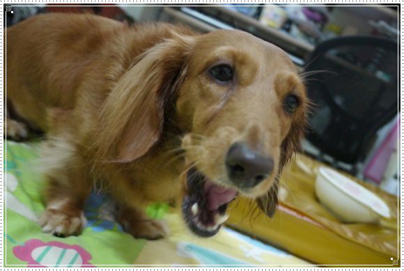 20251024-d1g04 20251024-d1g04