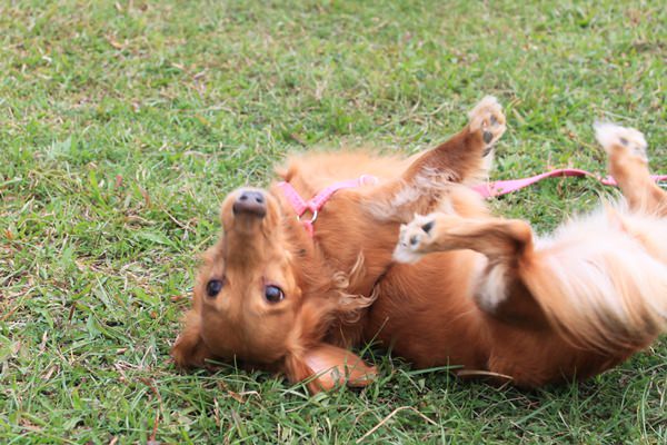 20251024-dpppx 20251024-dpppx