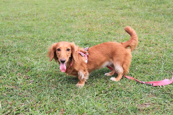 20251024-ecuqx 20251024-ecuqx