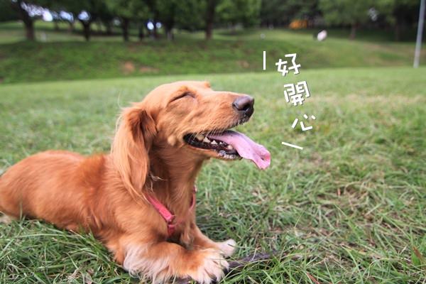 20251024-f67lz 20251024-f67lz