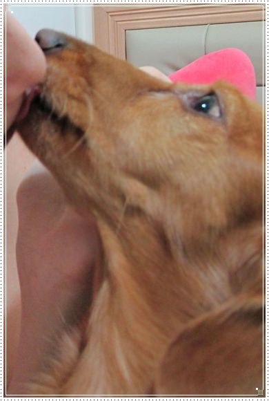 20251024-gd4df 20251024-gd4df