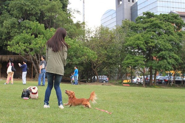 20251024-gjghg 20251024-gjghg