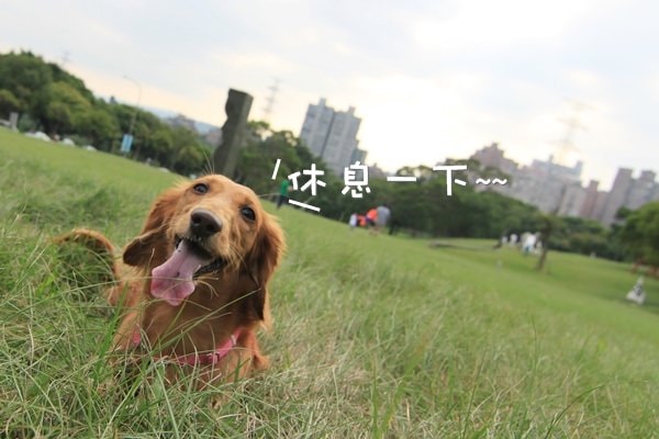 20251024-gjyuo 20251024-gjyuo