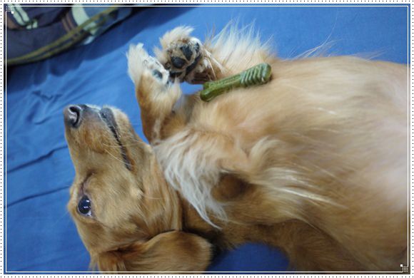 20251024-gx701 20251024-gx701