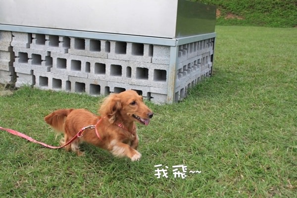 20251024-ku6dl 20251024-ku6dl