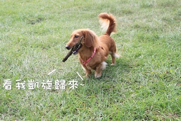 20251024-nu3sz 20251024-nu3sz