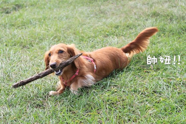 20251024-rsdbc 20251024-rsdbc