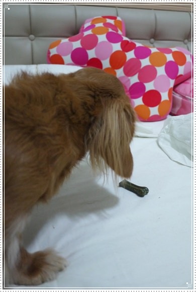 20251024-sab6y 20251024-sab6y