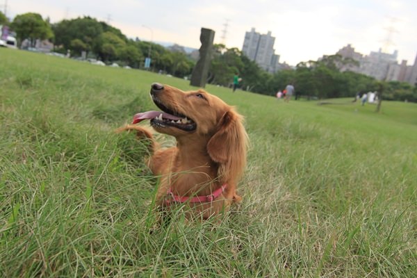 20251024-t63hk 20251024-t63hk