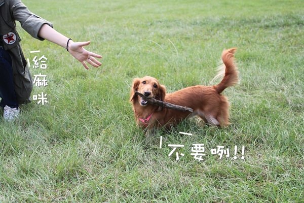 20251024-w5ps1 20251024-w5ps1