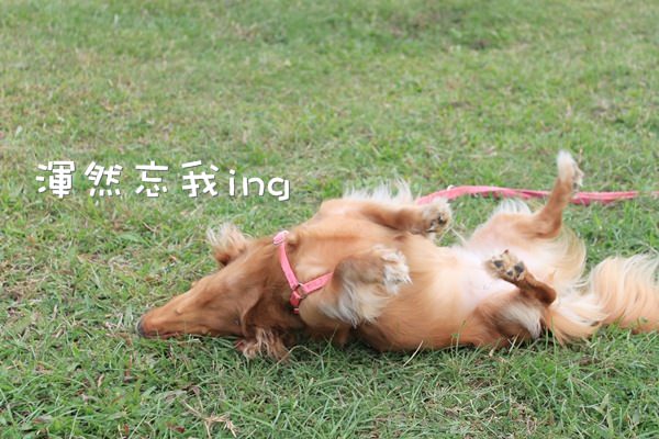 20251024-waz1t 20251024-waz1t