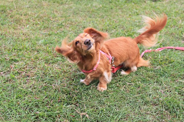 20251024-n007r 20251024-n007r