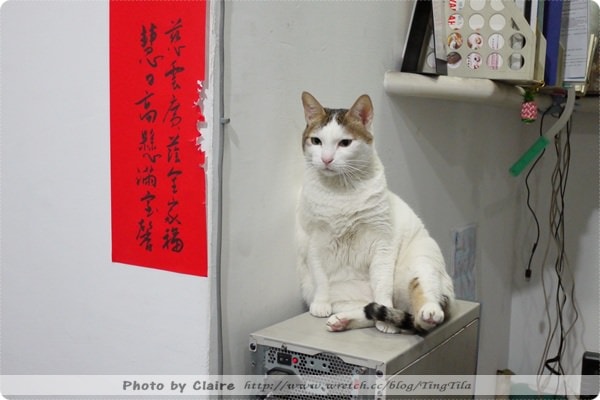 20251024-ywey6 20251024-ywey6