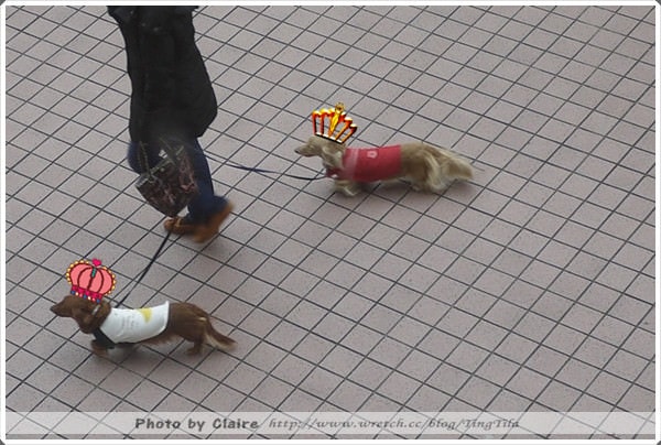 20251024-7e0fo 20251024-7e0fo