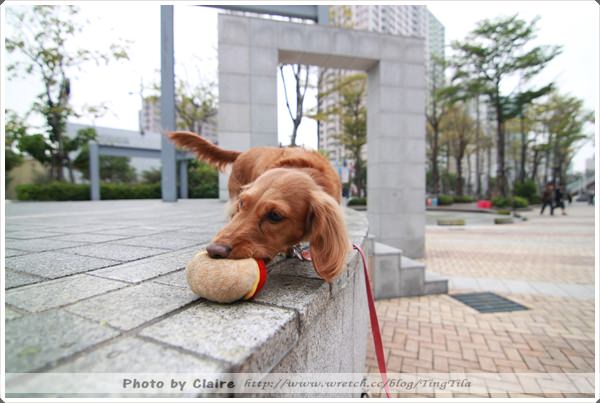 20251024-3wjpk 20251024-3wjpk