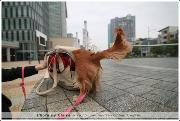 20251024-6srdh 20251024-6srdh