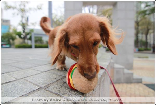 20251024-8kv0i 20251024-8kv0i