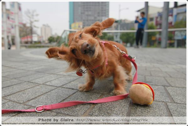 20251024-agfni 20251024-agfni