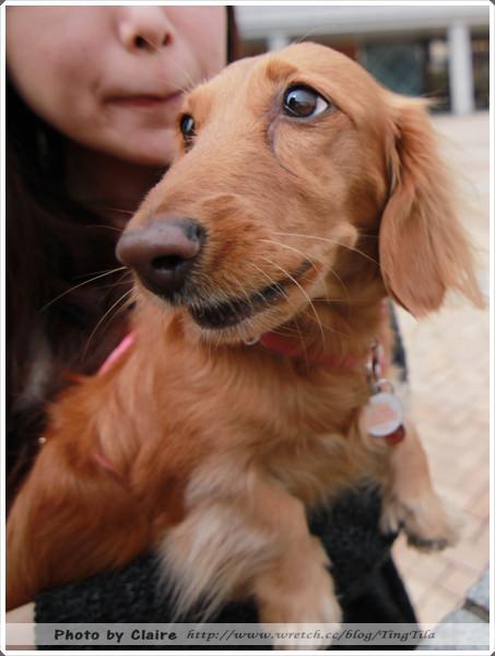 20251024-flx82 20251024-flx82