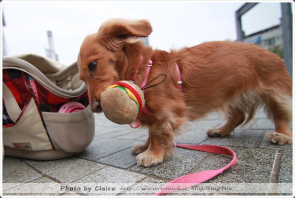 20251024-ie390 20251024-ie390