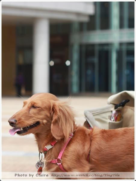 20251024-qzgcr 20251024-qzgcr