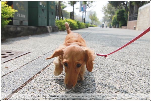 20251024-rs158 20251024-rs158