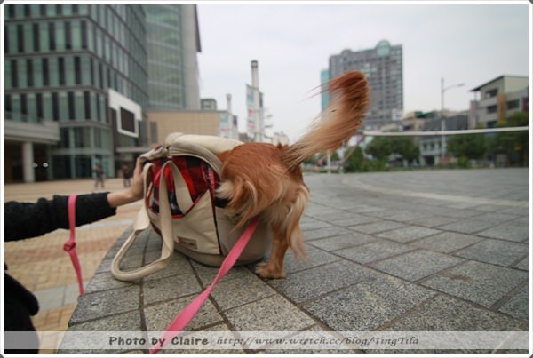 20251024-vx91s 20251024-vx91s