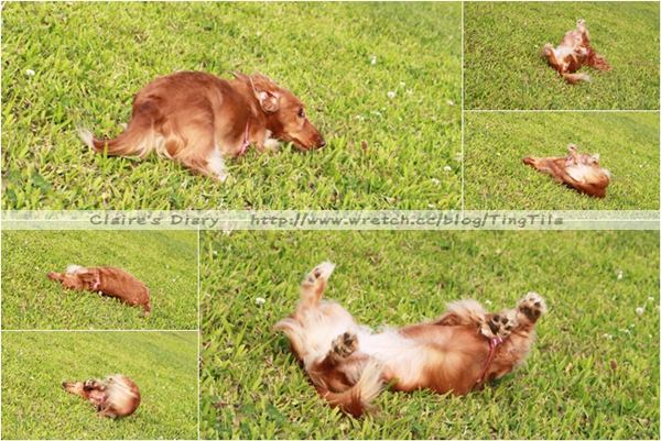 20251024-0osuj 20251024-0osuj