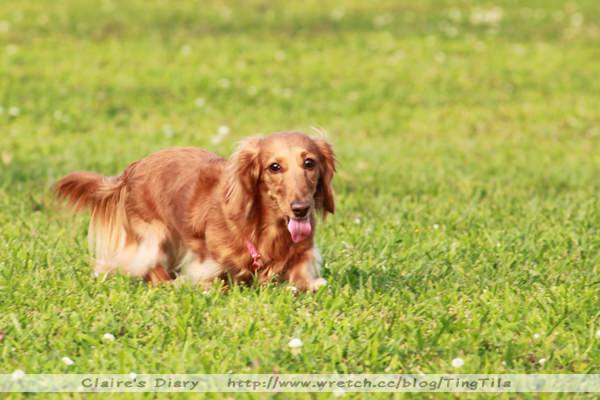 20251024-3cx92 20251024-3cx92