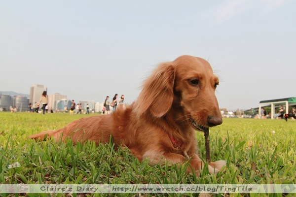 20251024-d57zk 20251024-d57zk