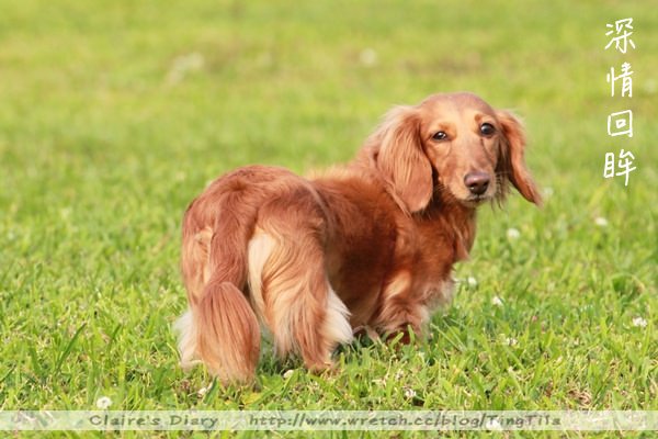 20251024-gkcrw 20251024-gkcrw