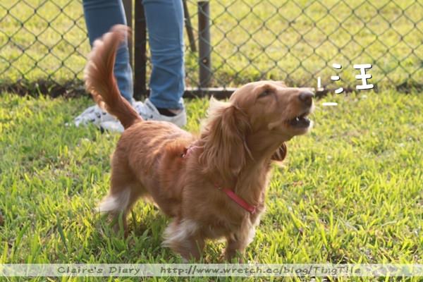 20251024-hrde9 20251024-hrde9