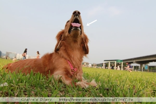 20251024-iukg7 20251024-iukg7