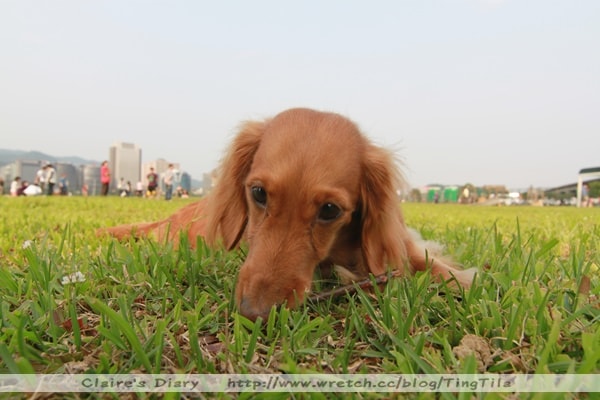 20251024-ldh0w 20251024-ldh0w