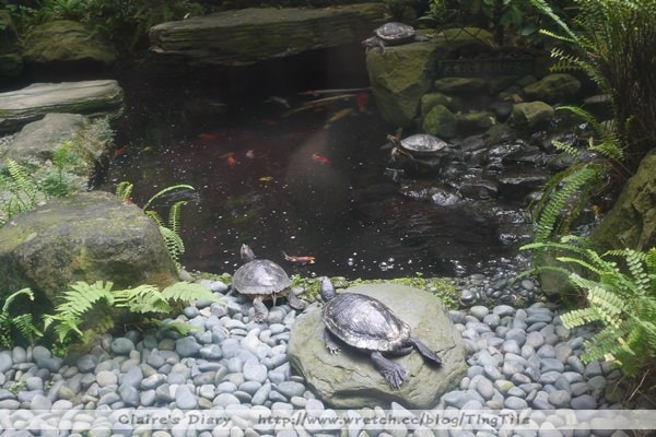 20251024-op3pp 20251024-op3pp