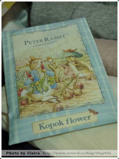 20251024-pebl5 20251024-pebl5