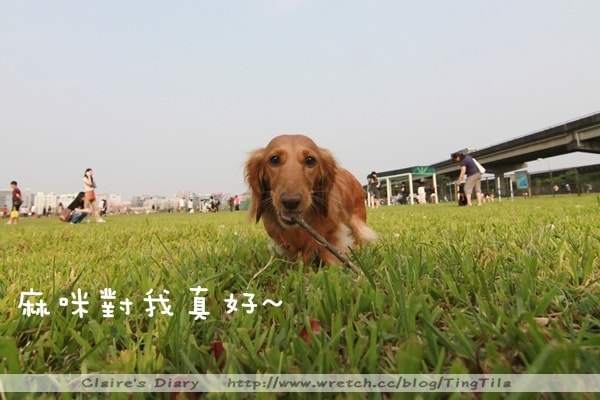 20251024-q2dj0 20251024-q2dj0