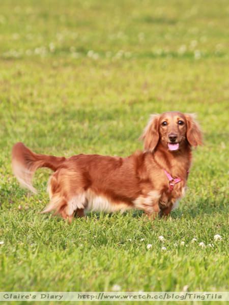 20251024-rqoy0 20251024-rqoy0