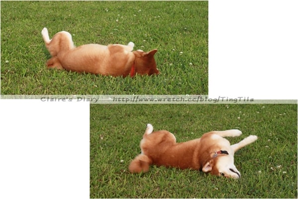 20251024-udbwf 20251024-udbwf