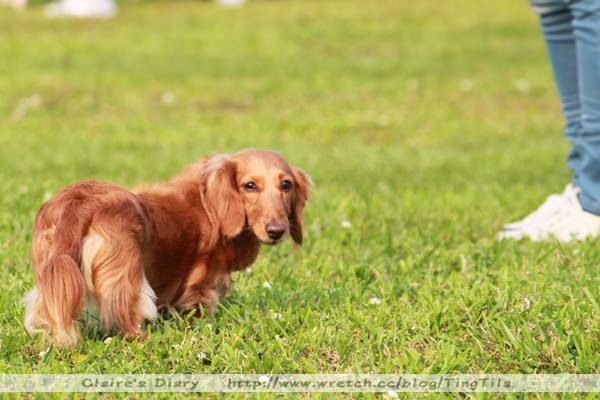 20251024-vw6rx 20251024-vw6rx