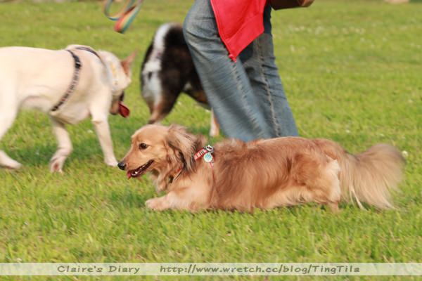 20251024-wd99i 20251024-wd99i