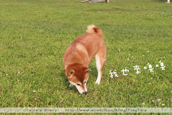 20251024-yx113 20251024-yx113