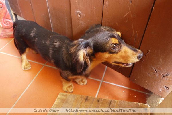 20251024-2r3s6 20251024-2r3s6