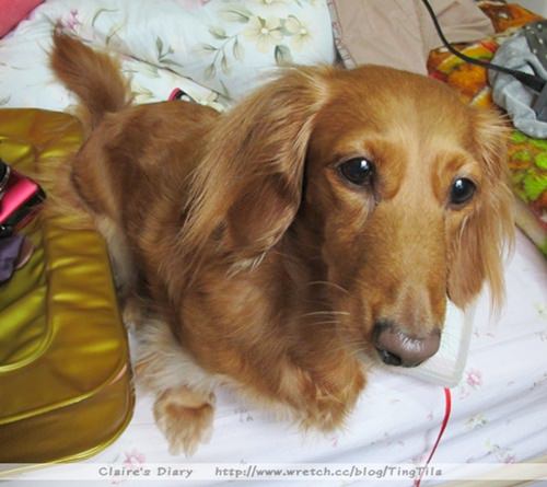 20251024-8g2h9 20251024-8g2h9