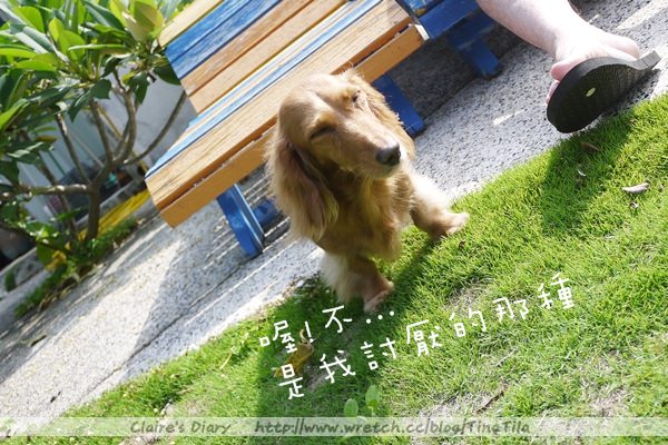 20251024-93112 20251024-93112