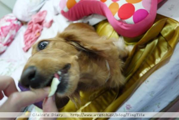 20251024-d25fl 20251024-d25fl